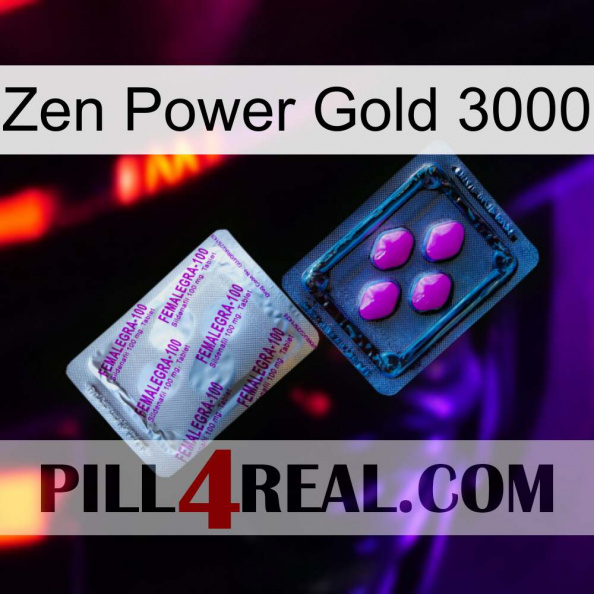 Zen Power Gold 3000 37.jpg